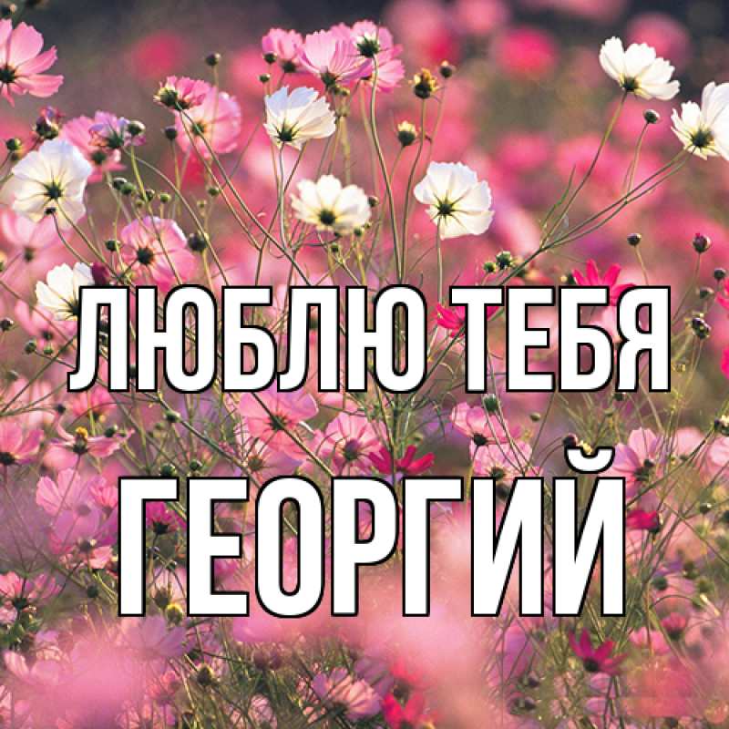 Картинка Люблю тебя, Георгий