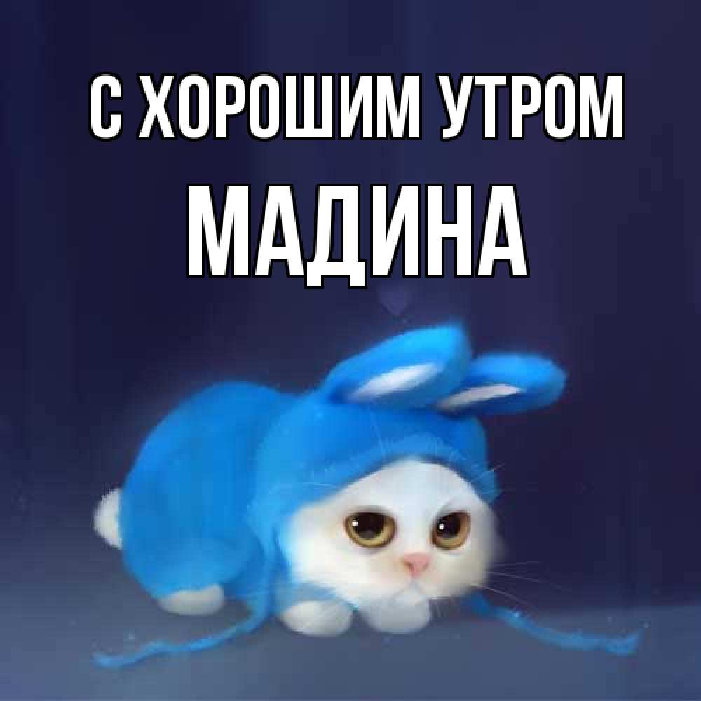 Открытка на каждый день с именем, Мадина С хорошим утром открытки красивые скачать бесплатно Прикольная открытка с пожеланием онлайн скачать бесплатно 