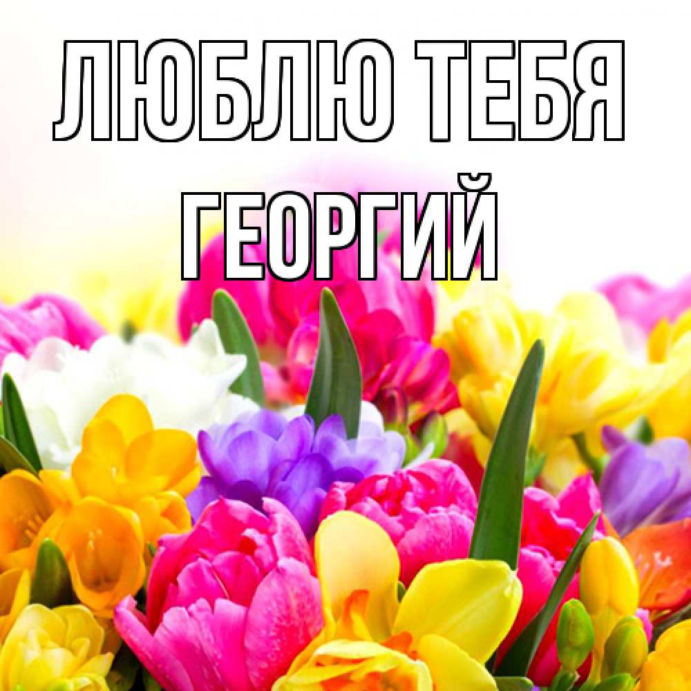 Открытка на каждый день с именем, Георгий Люблю тебя тюльпаны Прикольная открытка с пожеланием онлайн скачать бесплатно 