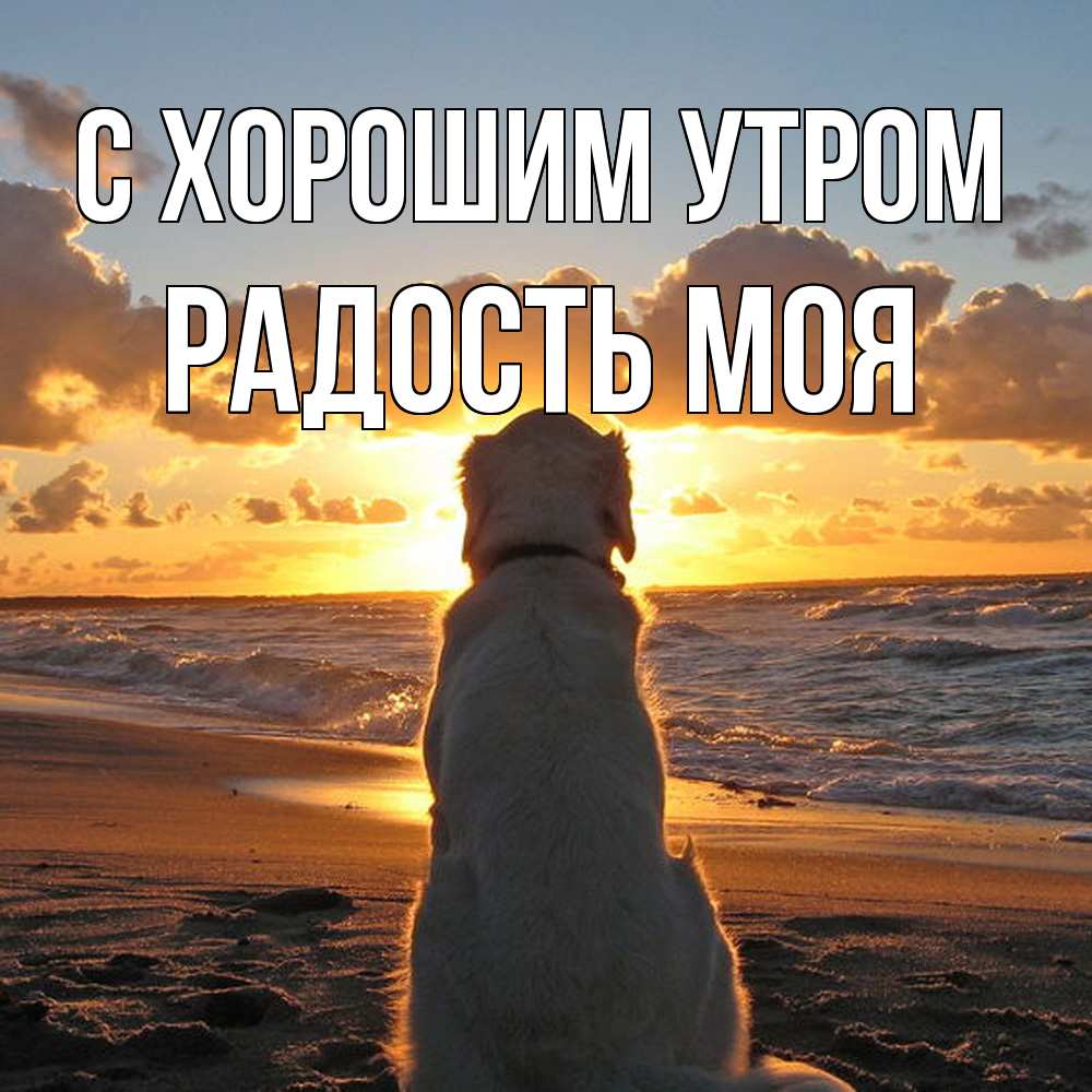 Открытка на каждый день с именем, Радость-моя С хорошим утром восход солнца Прикольная открытка с пожеланием онлайн скачать бесплатно 