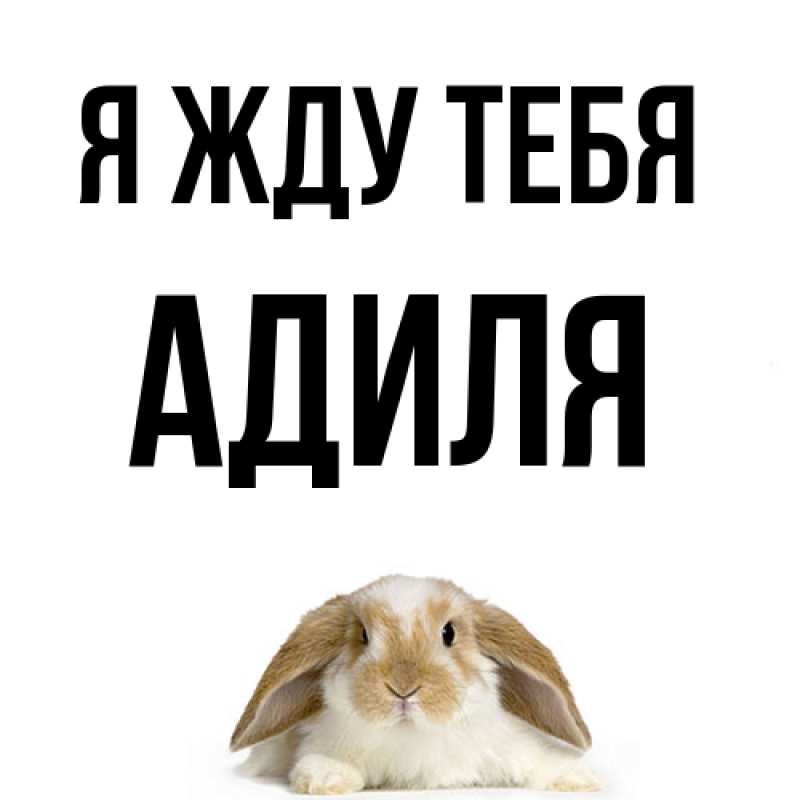 Картинка Я жду тебя, Адиля
