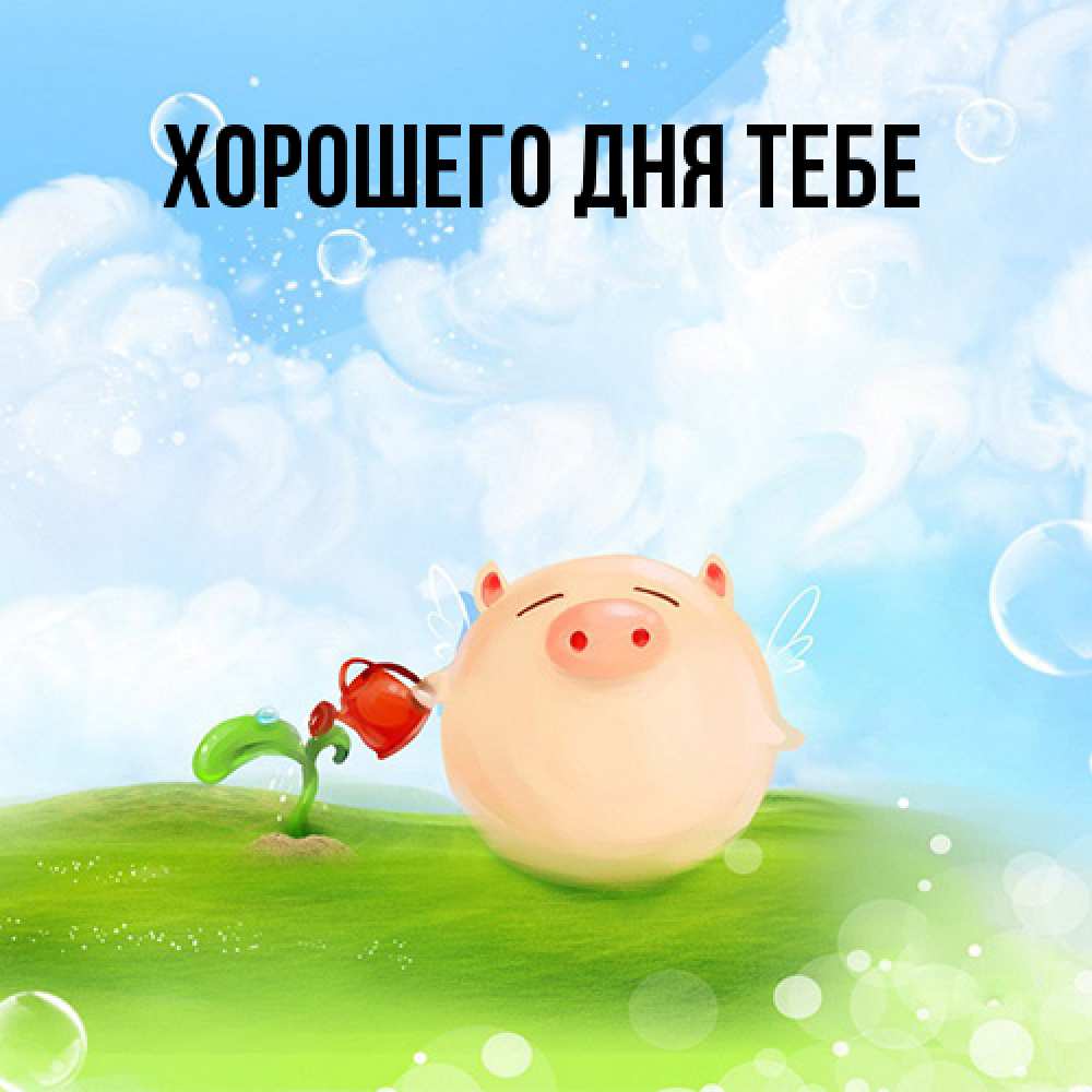 Открытка на каждый день с именем, Султан Я жду тебя позитивная свинюшка Прикольная открытка с пожеланием онлайн скачать бесплатно 