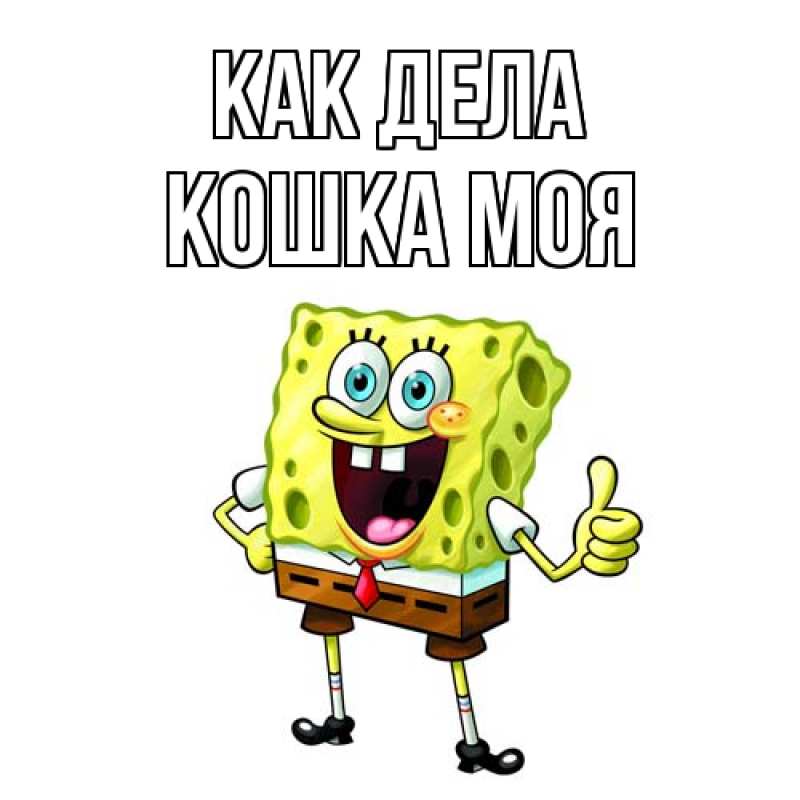 Картинка Как дела, Кошка моя