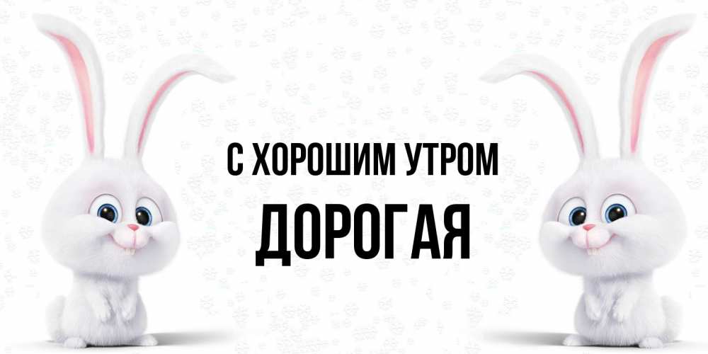Открытка на каждый день с именем, Дорогая С хорошим утром кролики с длинными ушками Прикольная открытка с пожеланием онлайн скачать бесплатно 