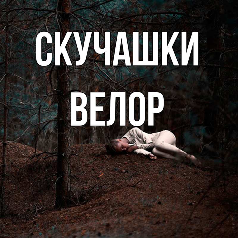 Картинка Скучашки, Велор