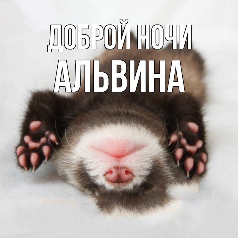 Картинка Доброй ночи, Альвина