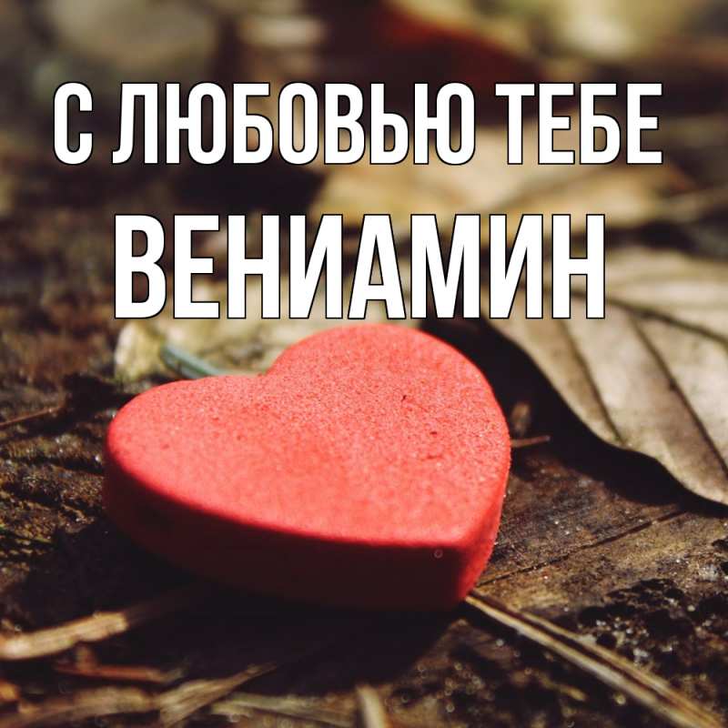 Картинка С любовью тебе, Вениамин