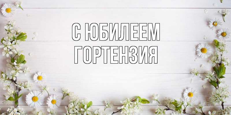 Картинка C юбилеем, Гортензия