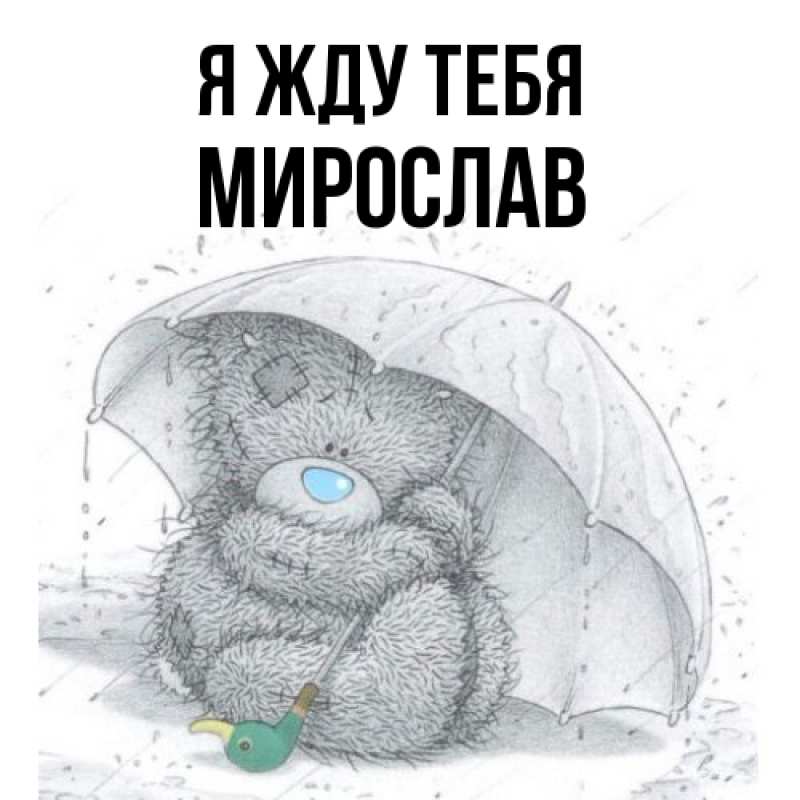 Картинка Я жду тебя, Мирослав