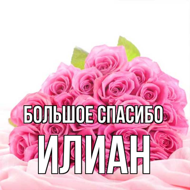 Картинка Большое спасибо, Илиан