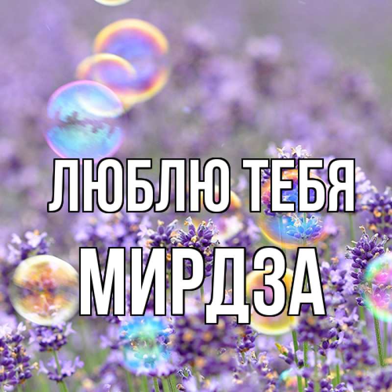 Картинка Люблю тебя, Мирдза