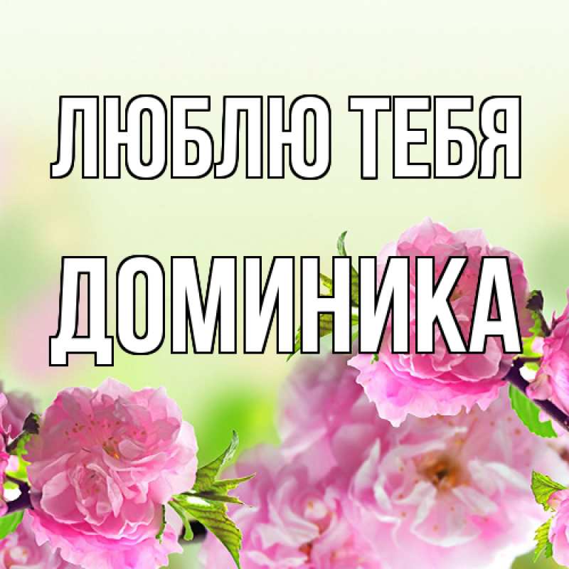 Картинка Люблю тебя, Доминика