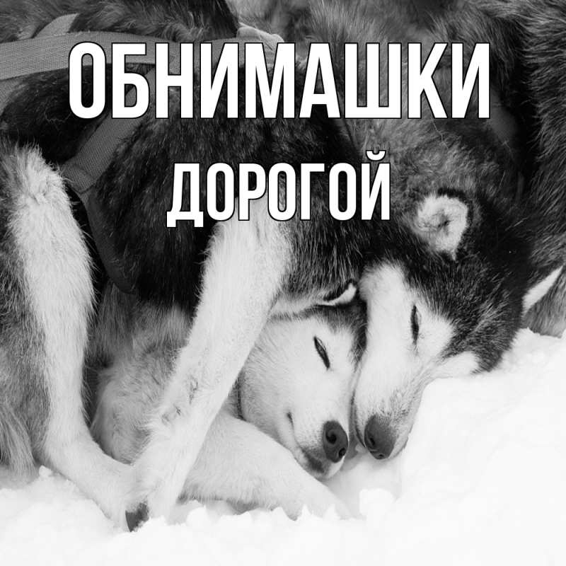 Картинка Обнимашки, Дорогой