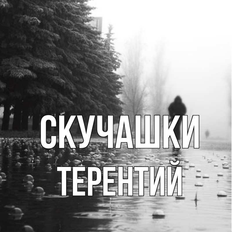 Картинка Скучашки, Терентий