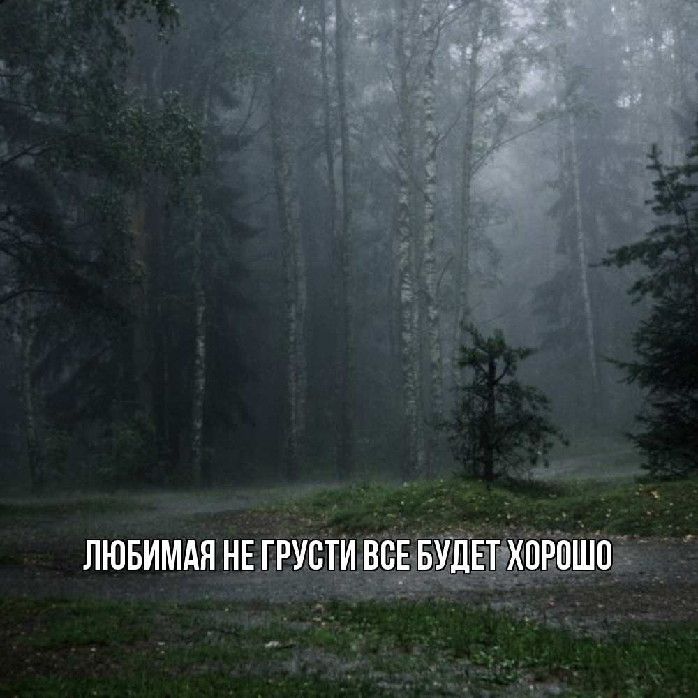 Открытка на каждый день с именем, Любимая Не грусти, все будет хорошо осень Прикольная открытка с пожеланием онлайн скачать бесплатно 