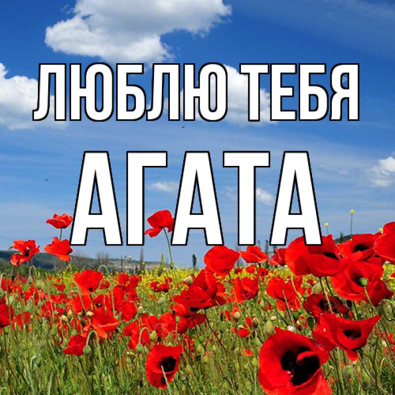 Картинка Люблю тебя, Агата