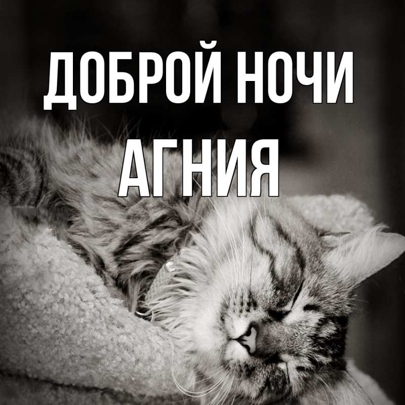 Картинка Доброй ночи, Агния