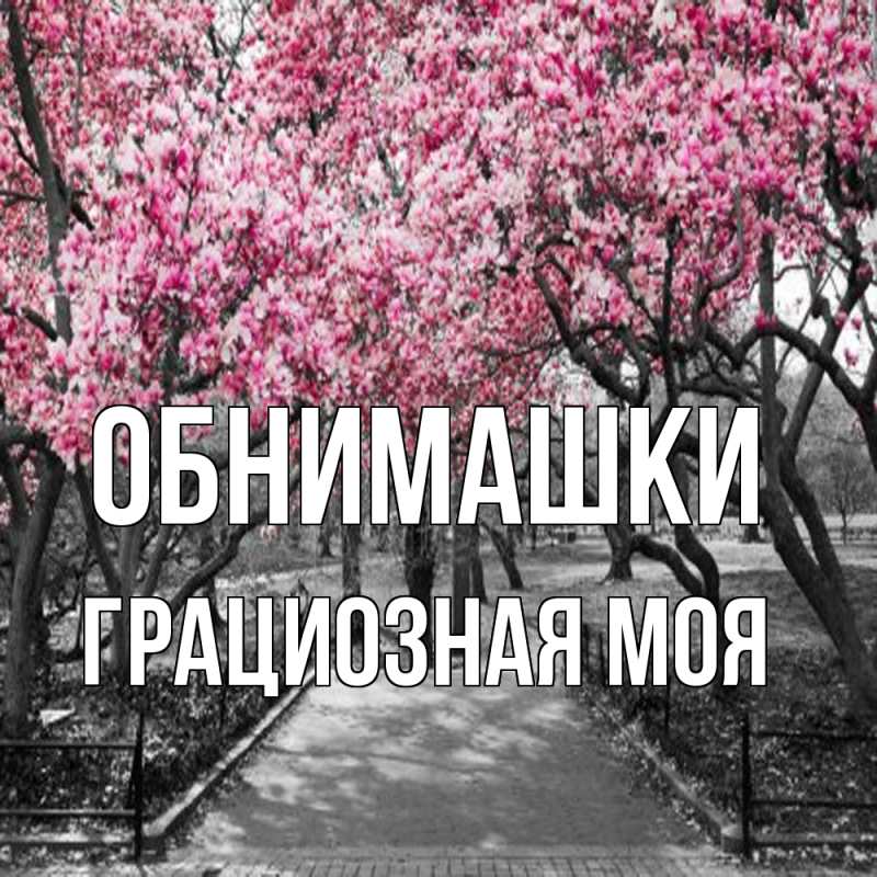 Картинка Обнимашки, Грациозная моя