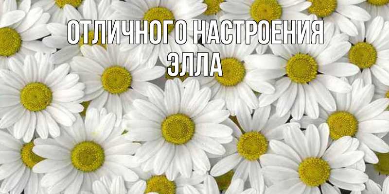 Картинка Отличного настроения, Элла