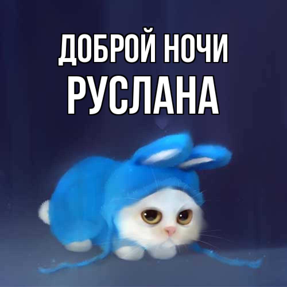 Открытка на каждый день с именем, Руслана Доброй ночи кот в голубом костюме кролика с ушками Прикольная открытка с пожеланием онлайн скачать бесплатно 