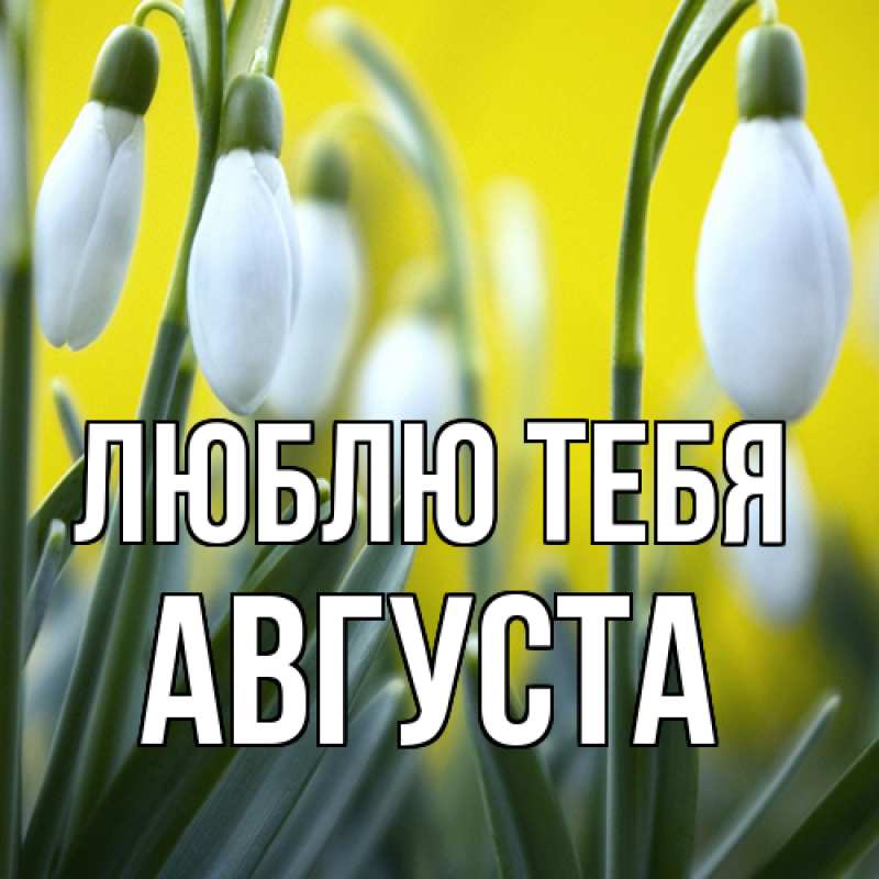 Картинка Люблю тебя, Августа