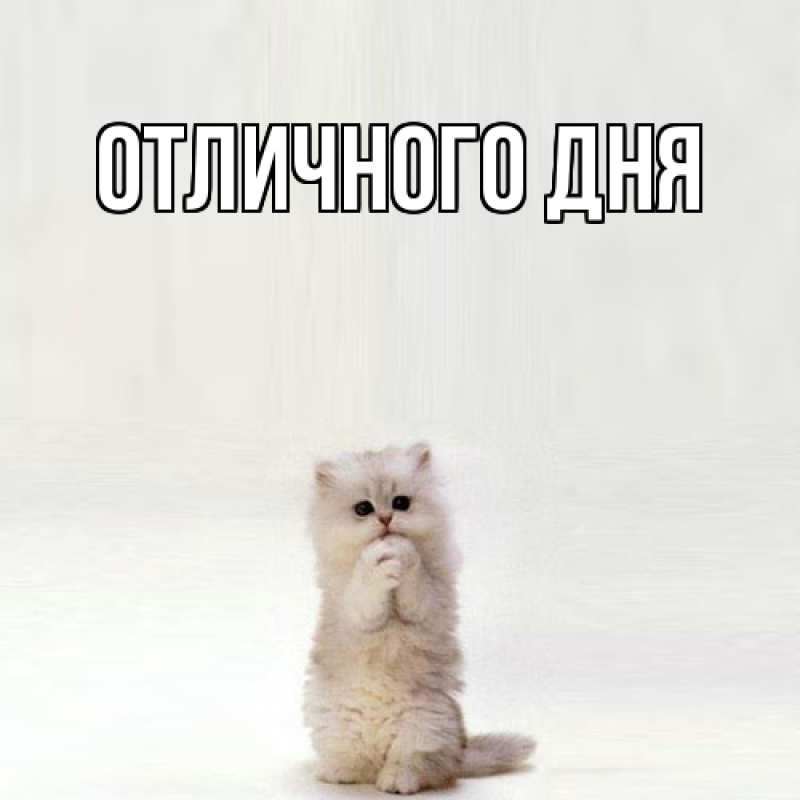 Картинка Я жду тебя, Ия