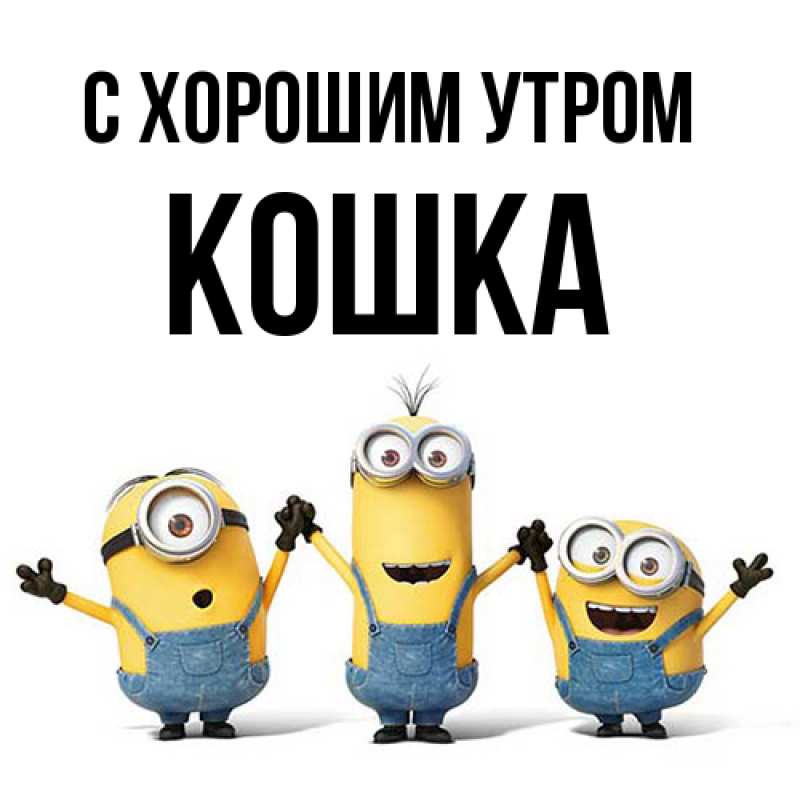 Картинка С хорошим утром, Кошка