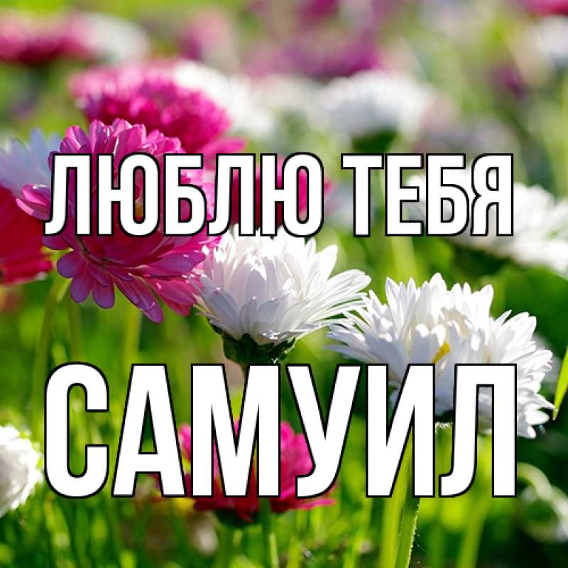 Картинка Люблю тебя, Самуил