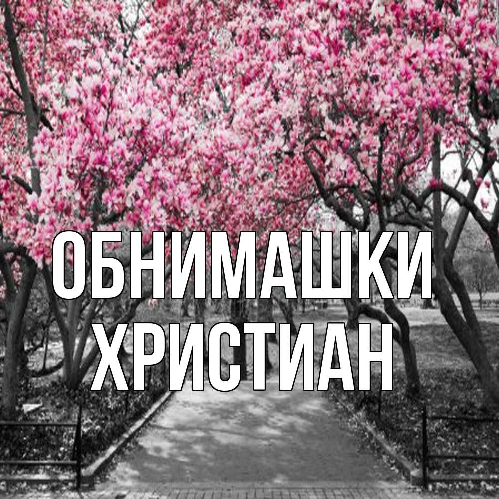 Открытка на каждый день с именем, Христиан Обнимашки обработанное фото Прикольная открытка с пожеланием онлайн скачать бесплатно 