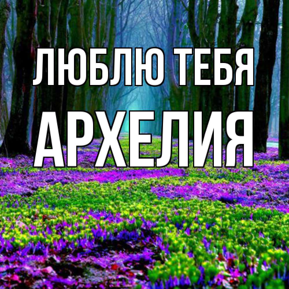 Открытка на каждый день с именем, Архелия Люблю тебя фиолетовые цветы в лесу 1 Прикольная открытка с пожеланием онлайн скачать бесплатно 