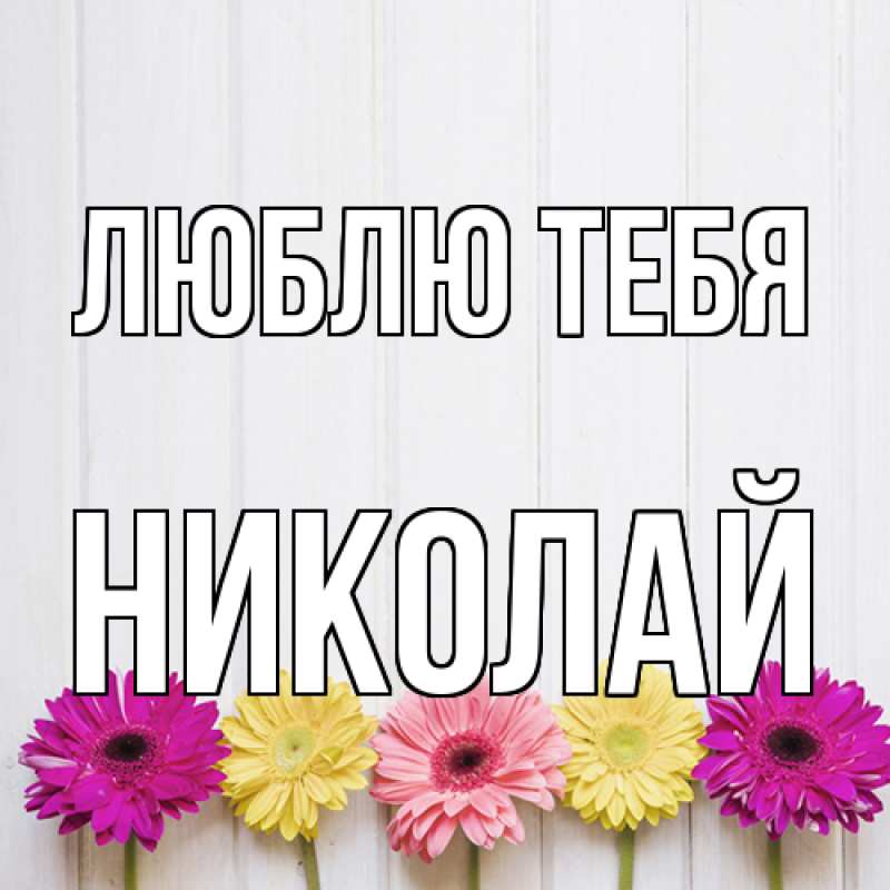 Картинка Люблю тебя, Николай