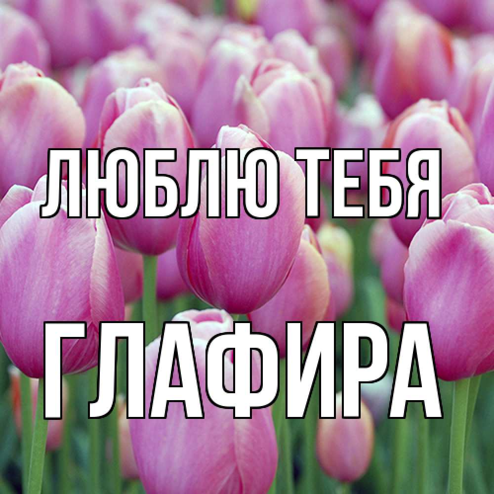 Открытка на каждый день с именем, Глафира Люблю тебя на международный женский день 3 Прикольная открытка с пожеланием онлайн скачать бесплатно 