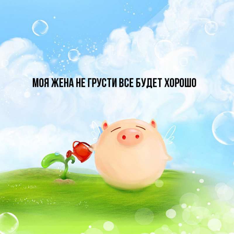 Картинка Не грусти, все будет хорошо, Моя жена