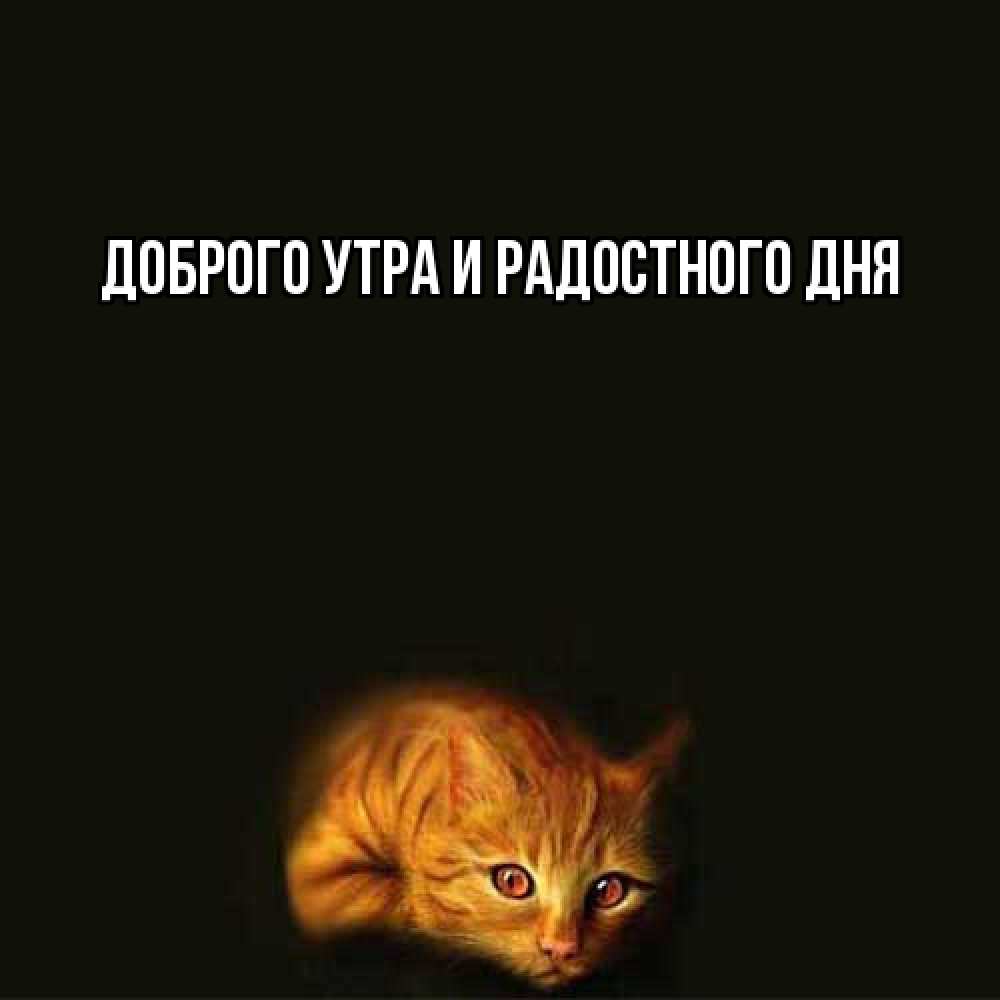 Открытка на каждый день с именем, Ия Не грусти все будет хорошо лежащий кот в темноте Прикольная открытка с пожеланием онлайн скачать бесплатно 