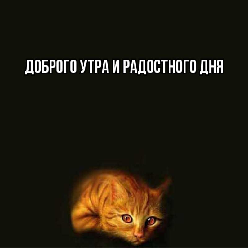 Картинка Не грусти, все будет хорошо, Ия