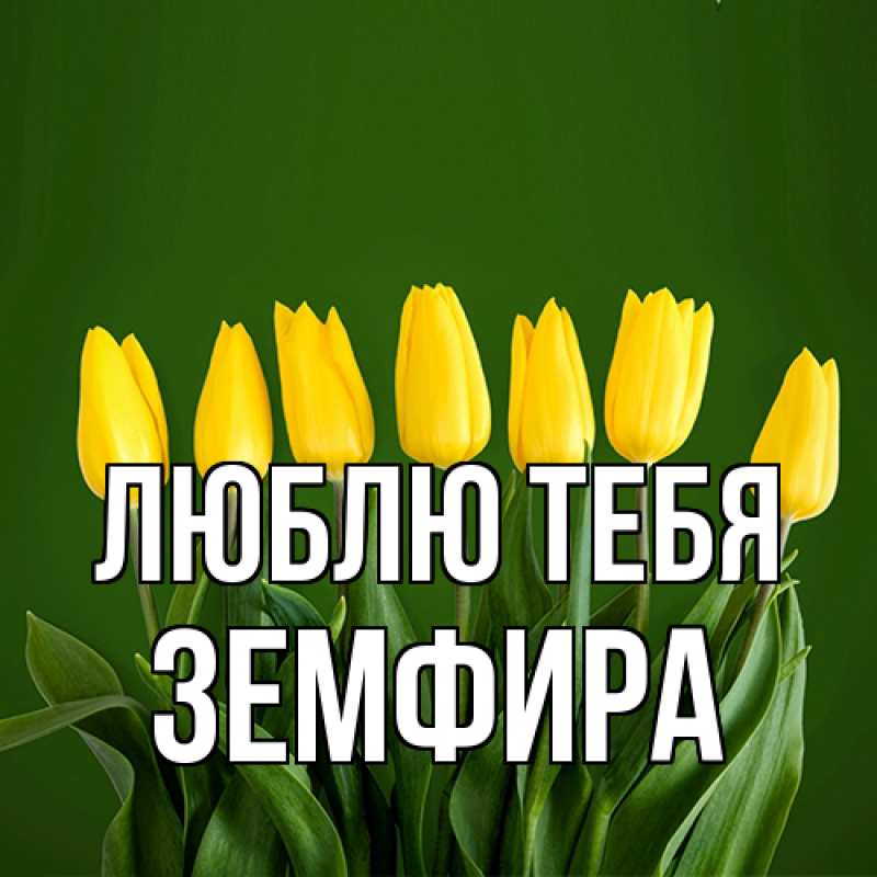 Картинка Люблю тебя, Земфира