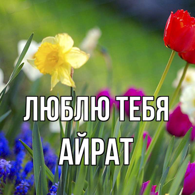 Открытка с именем, Айрат, Люблю тебя