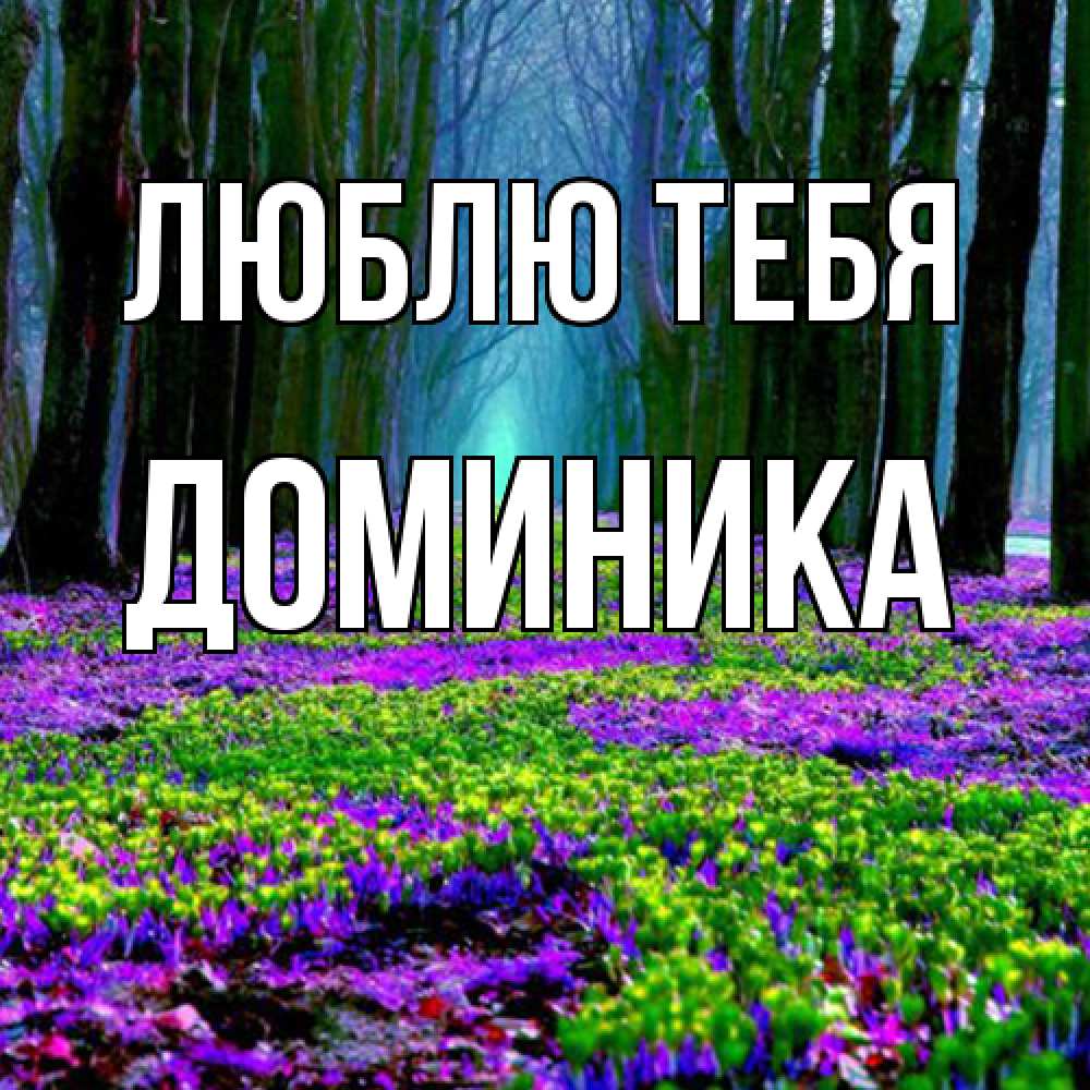 Открытка на каждый день с именем, Доминика Люблю тебя фиолетовые цветы в лесу 1 Прикольная открытка с пожеланием онлайн скачать бесплатно 