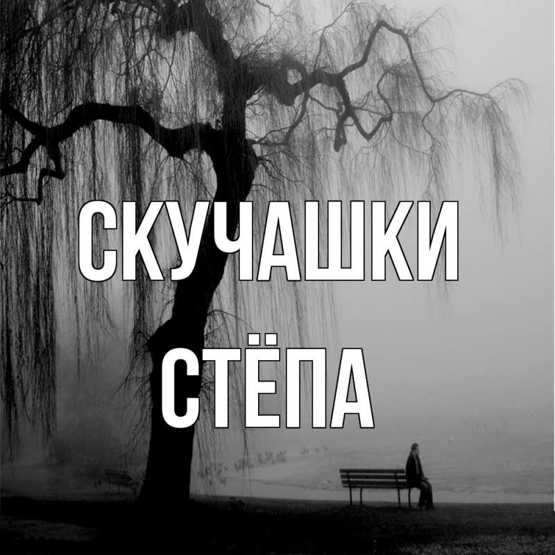 Картинка Скучашки, Стёпа