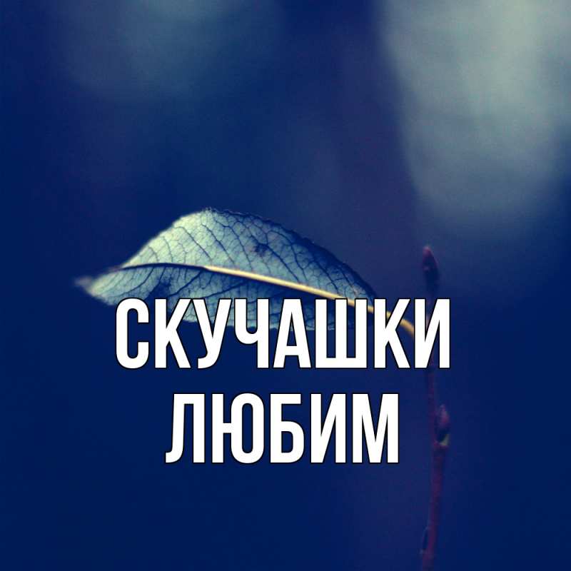 Картинка Скучашки, Любим