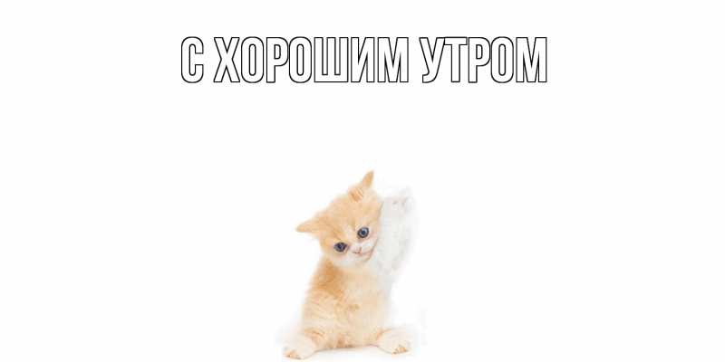 Открытка с именем, Аля, Не обижайся