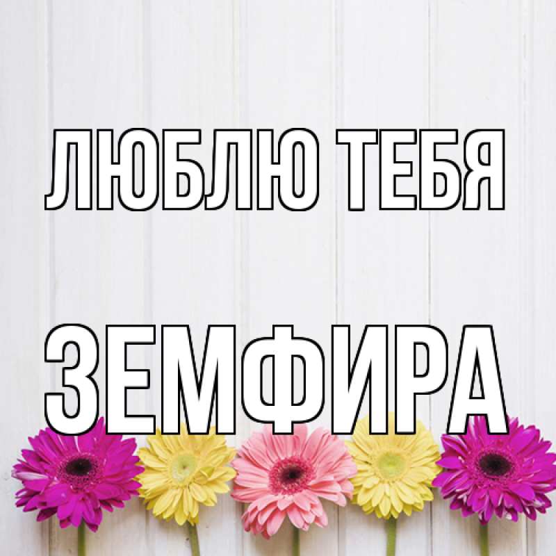 Картинка Люблю тебя, Земфира