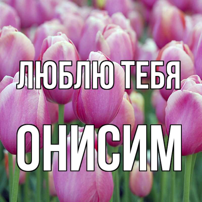 Картинка Люблю тебя, Онисим
