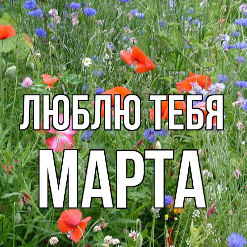 Картинка Люблю тебя, Марта