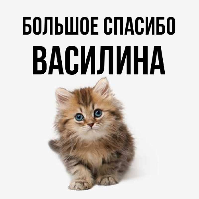 Картинка Большое спасибо, Василина