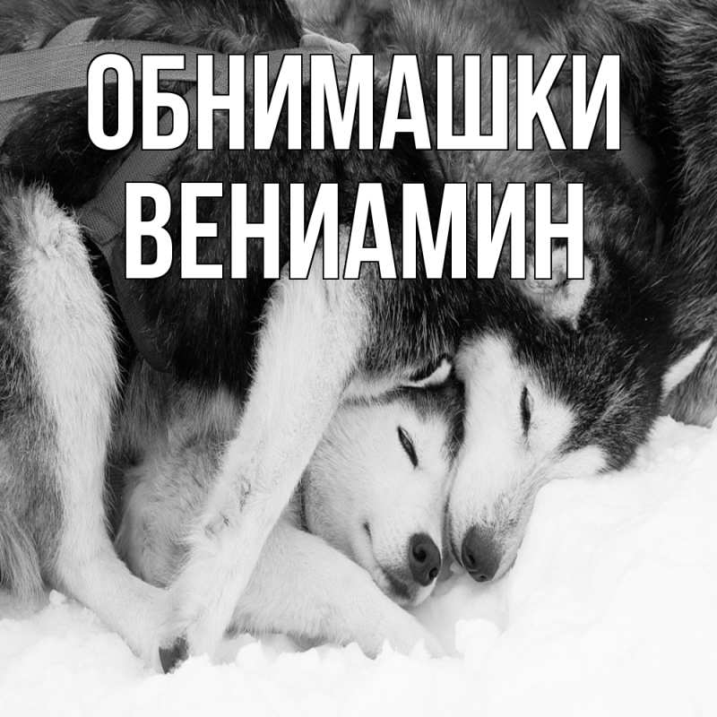 Картинка Обнимашки, Вениамин