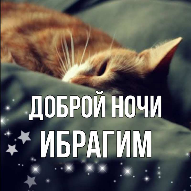 Картинка Доброй ночи, Ибрагим