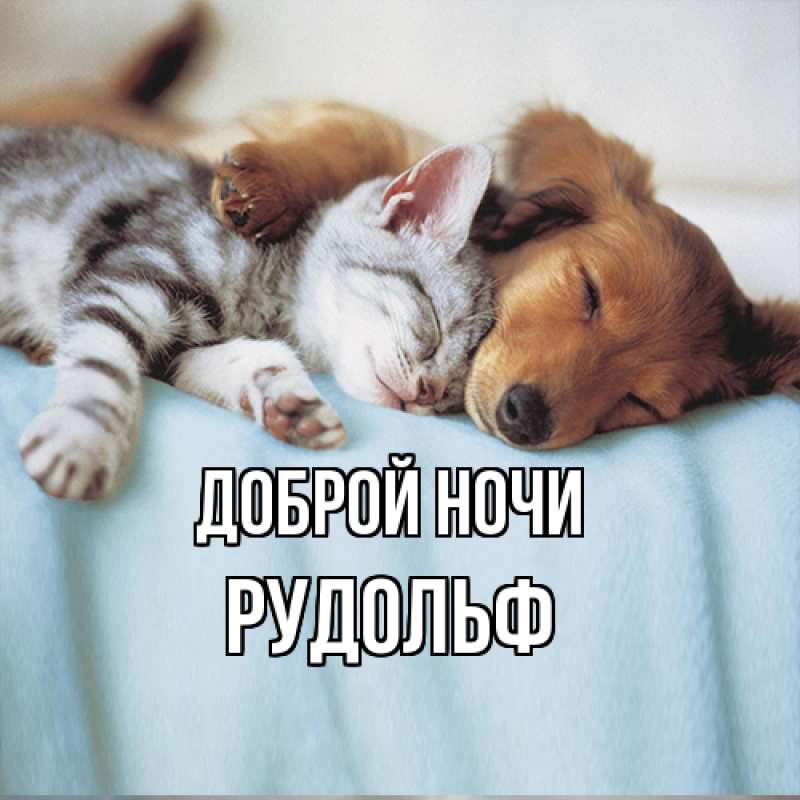 Картинка Доброй ночи, Рудольф