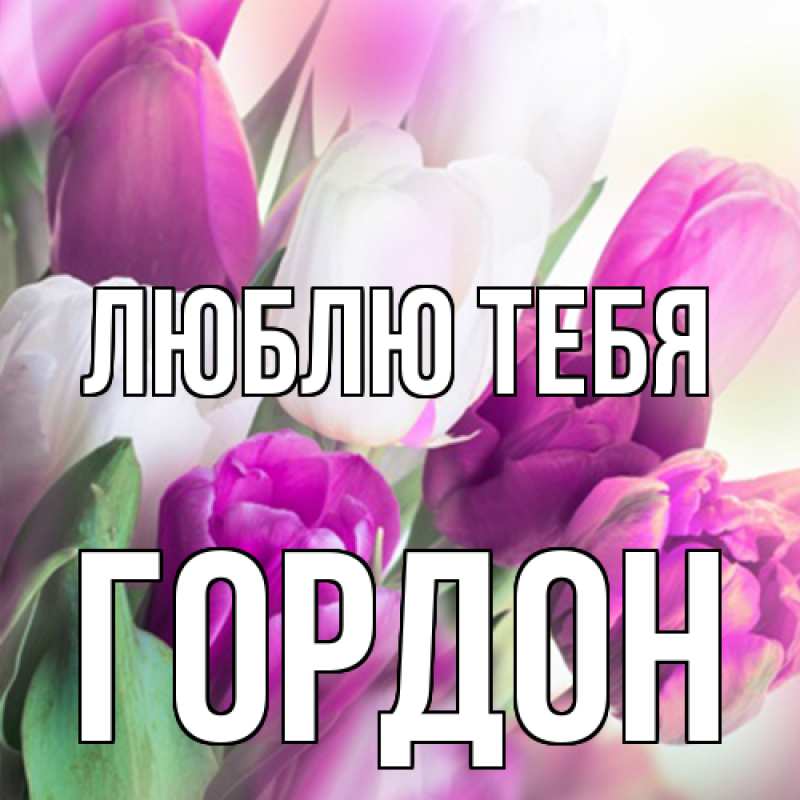 Картинка Люблю тебя, Гордон