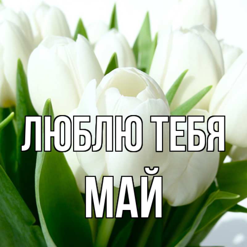 Картинка Люблю тебя, Май